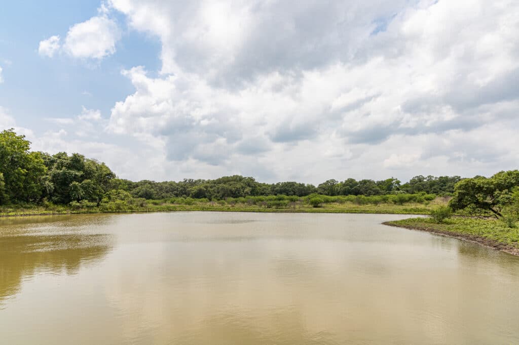 000 CR 240, Hallettsville, TX 77964 — public listing photo 4