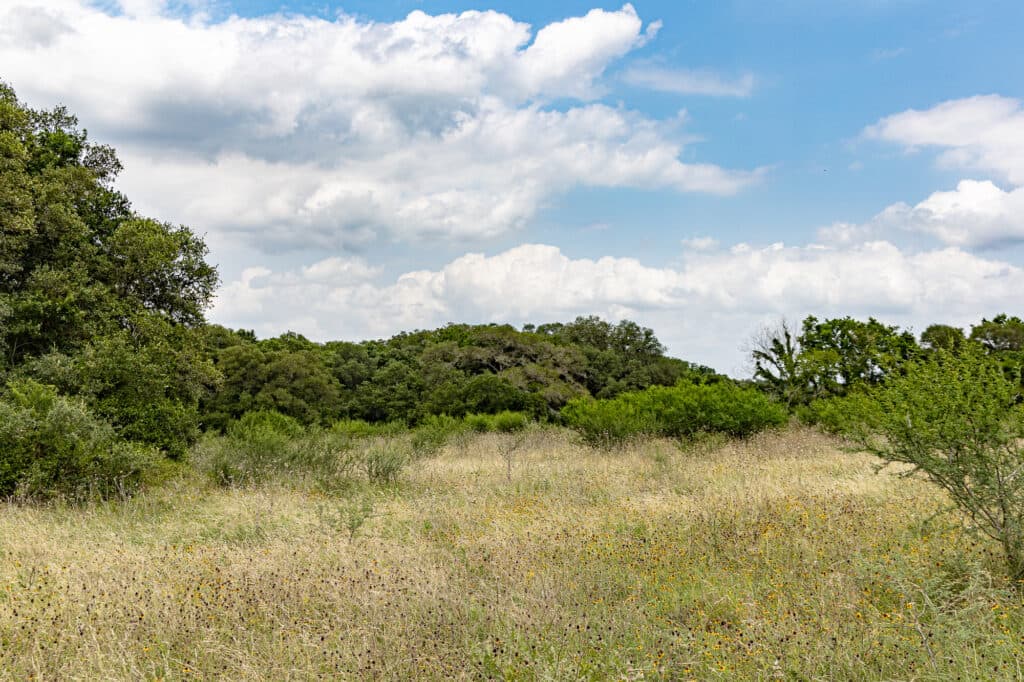000 CR 240, Hallettsville, TX 77964 — public listing photo 8