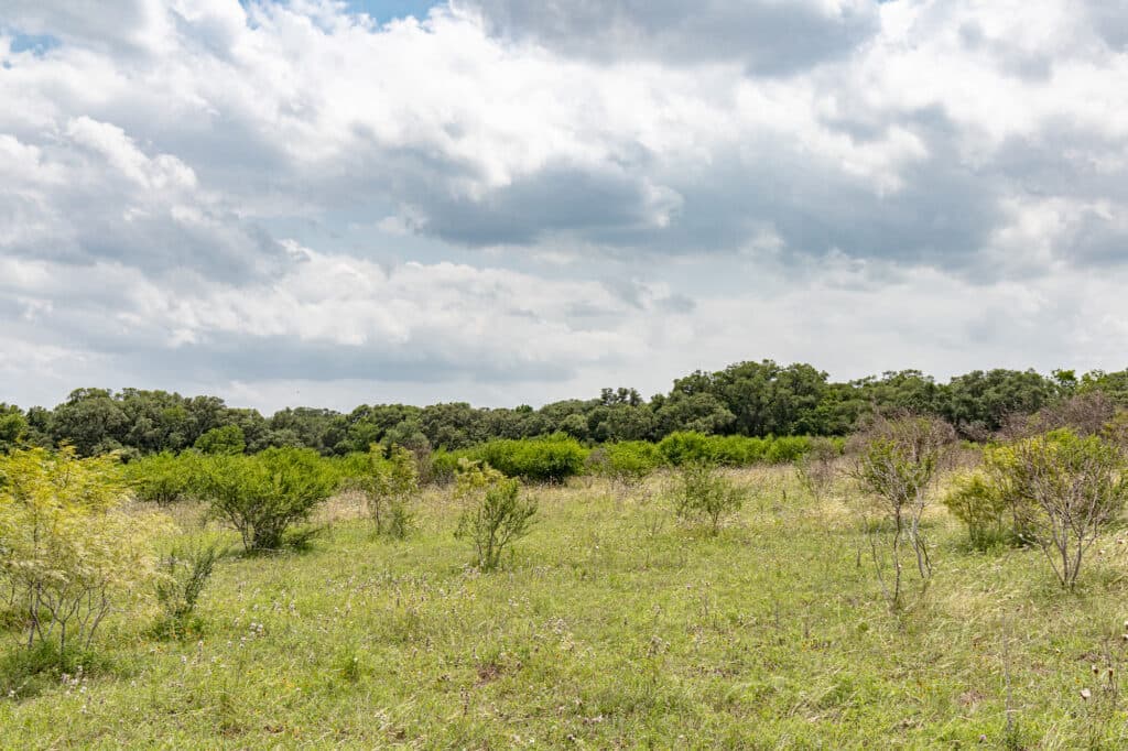 000 CR 240, Hallettsville, TX 77964 — public listing photo 9