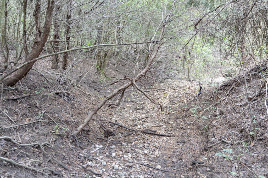 000 CR 240, Hallettsville, TX 77964 — public listing photo 11