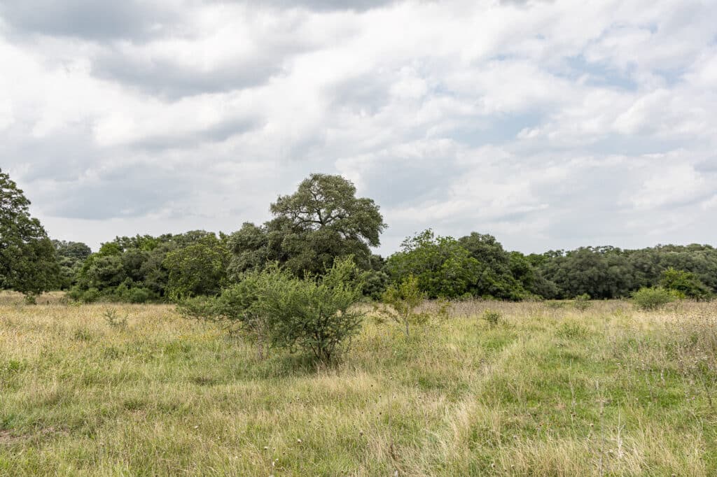 000 CR 240, Hallettsville, TX 77964 — public listing photo 12