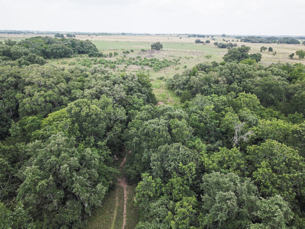 000 CR 240, Hallettsville, TX 77964 — public listing photo 14