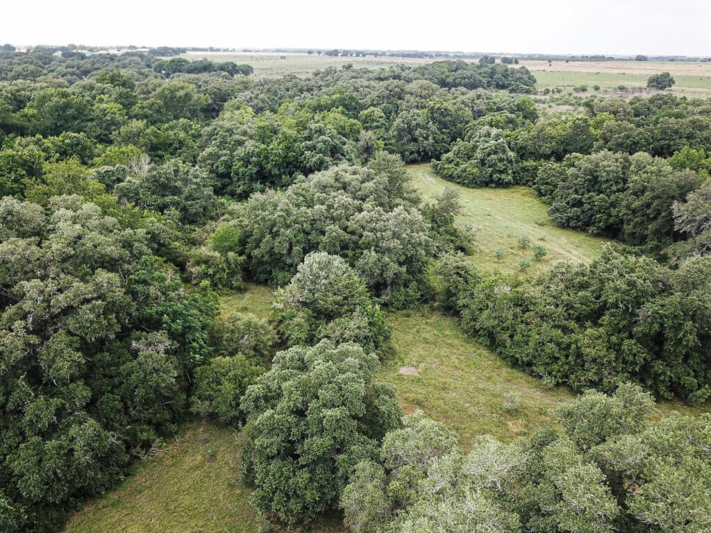 000 CR 240, Hallettsville, TX 77964 — public listing photo 18