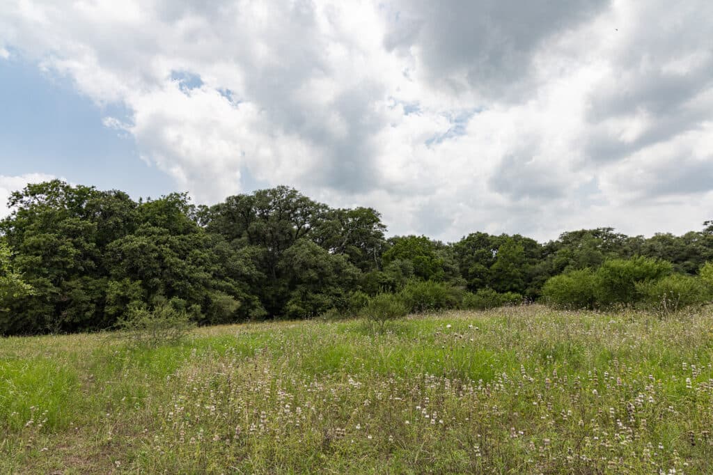000 CR 240, Hallettsville, TX 77964 — public listing photo 20