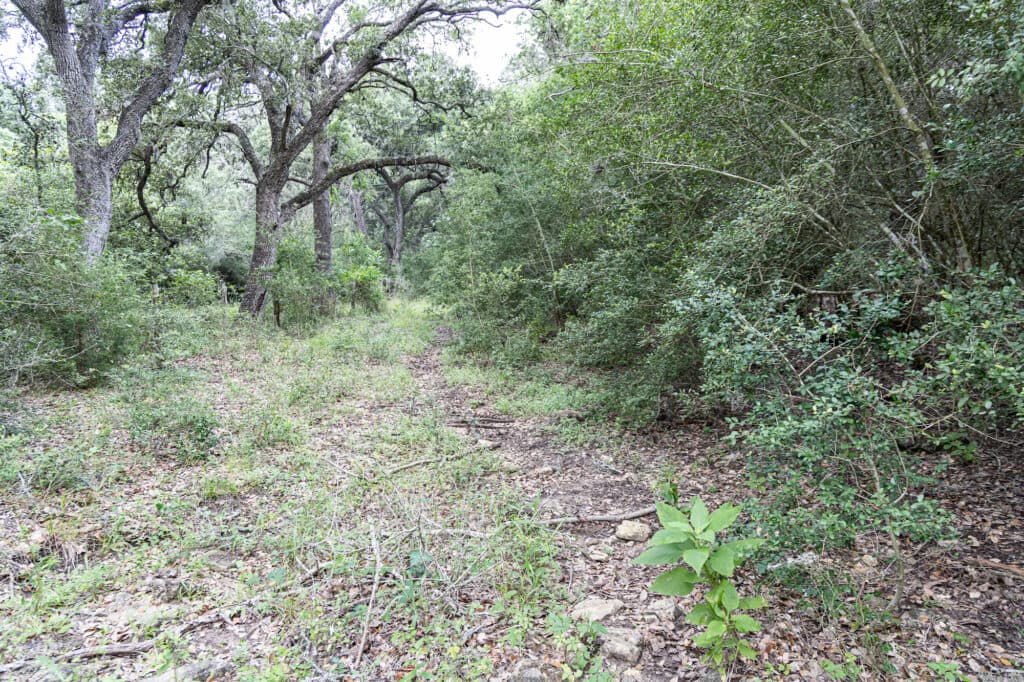 000 CR 240, Hallettsville, TX 77964 — public listing photo 21