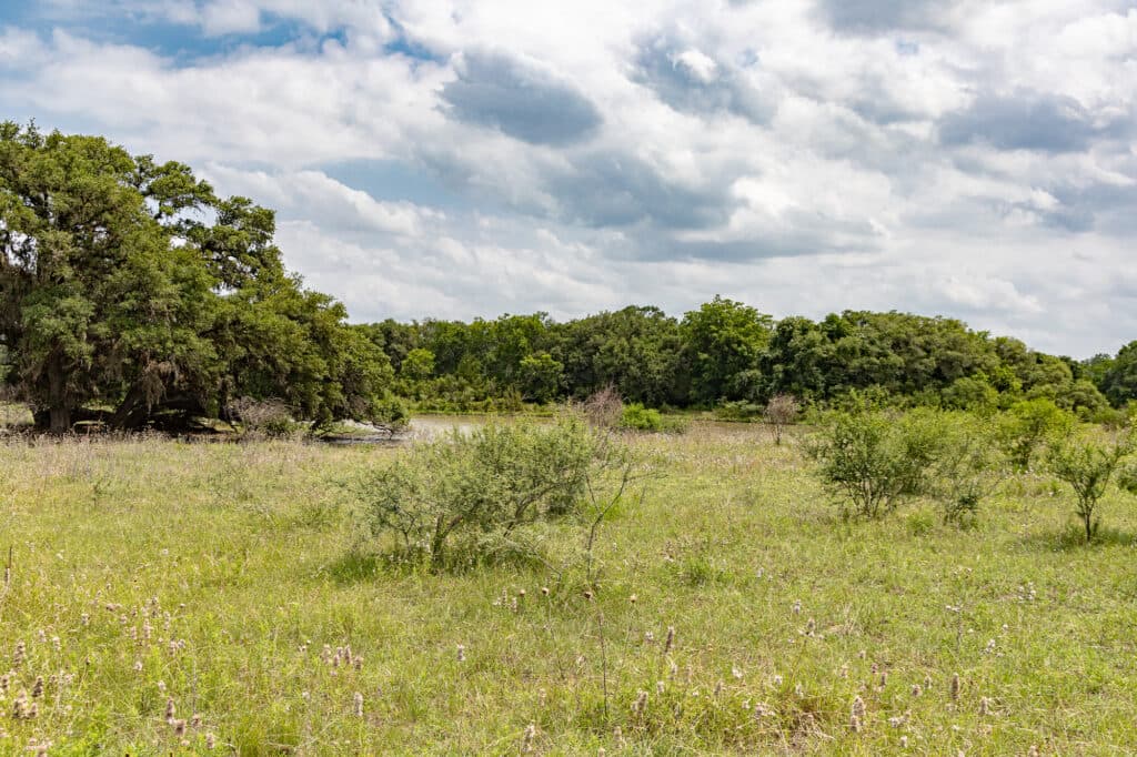 000 CR 240, Hallettsville, TX 77964 — public listing photo 22