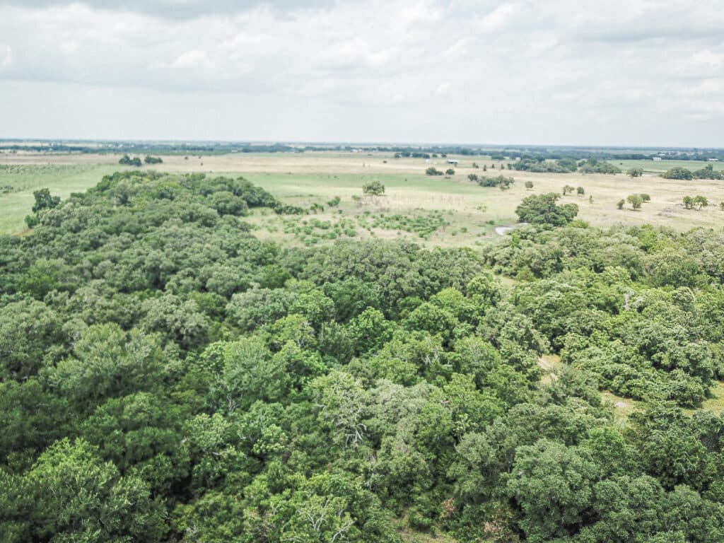 000 CR 240, Hallettsville, TX 77964 — public listing photo 27