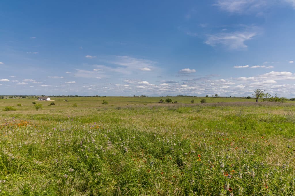 000 CR 369, Shiner, TX 77984 — public listing photo 4