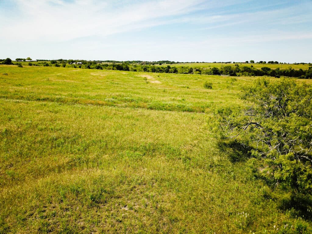 000 CR 369, Shiner, TX 77984 — public listing photo 8