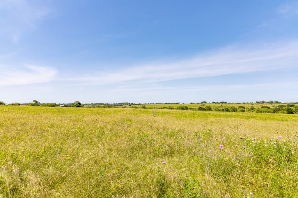 000 CR 369, Shiner, TX 77984 — public listing photo 11