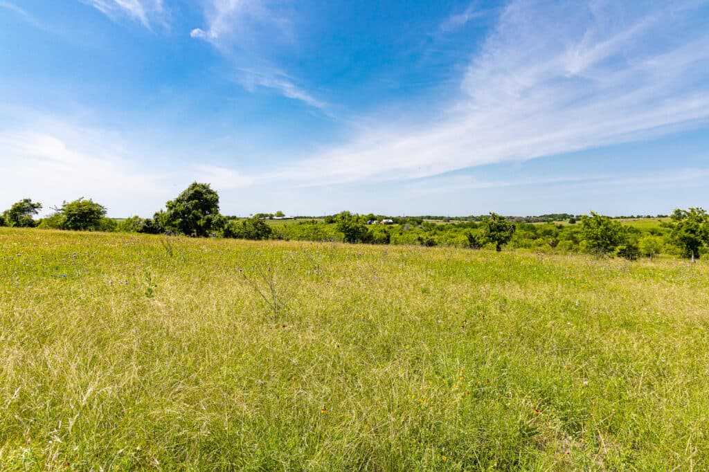 000 CR 369, Shiner, TX 77984 — public listing photo 15
