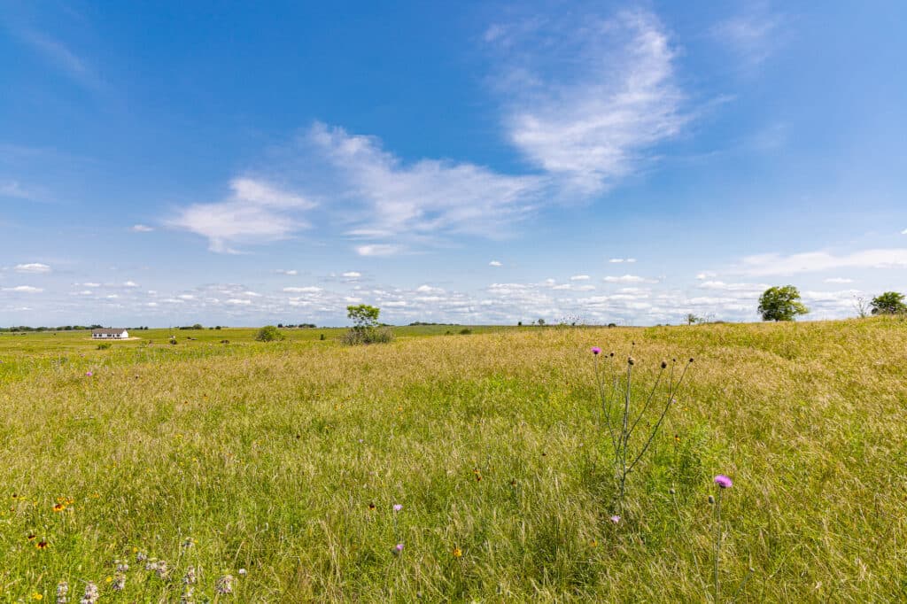 000 CR 369, Shiner, TX 77984 — public listing photo 19