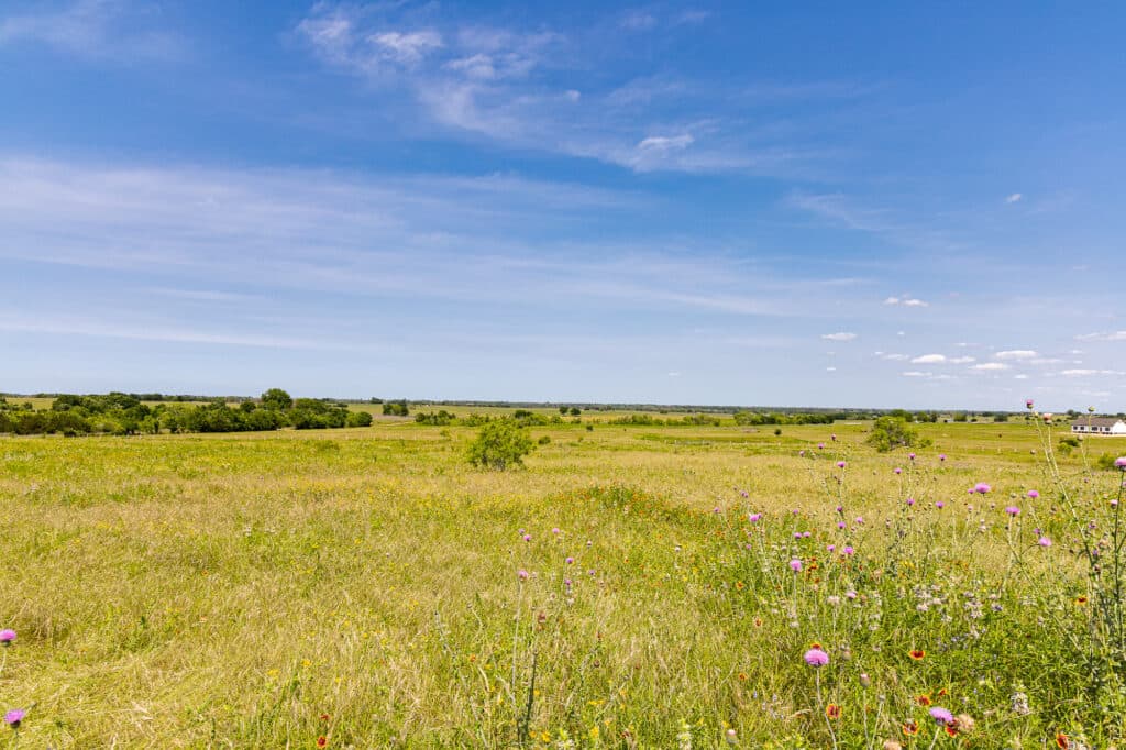 000 CR 369, Shiner, TX 77984 — public listing photo 22