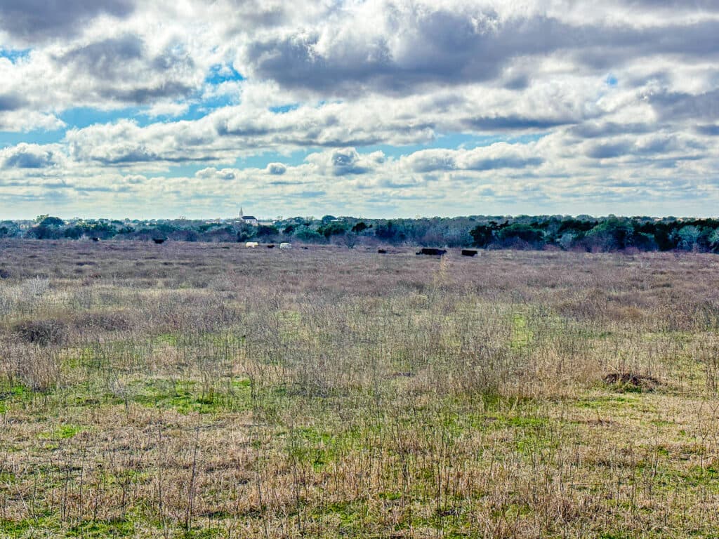 000 CR 387, Hallettsville, Texas — public listing photo 4