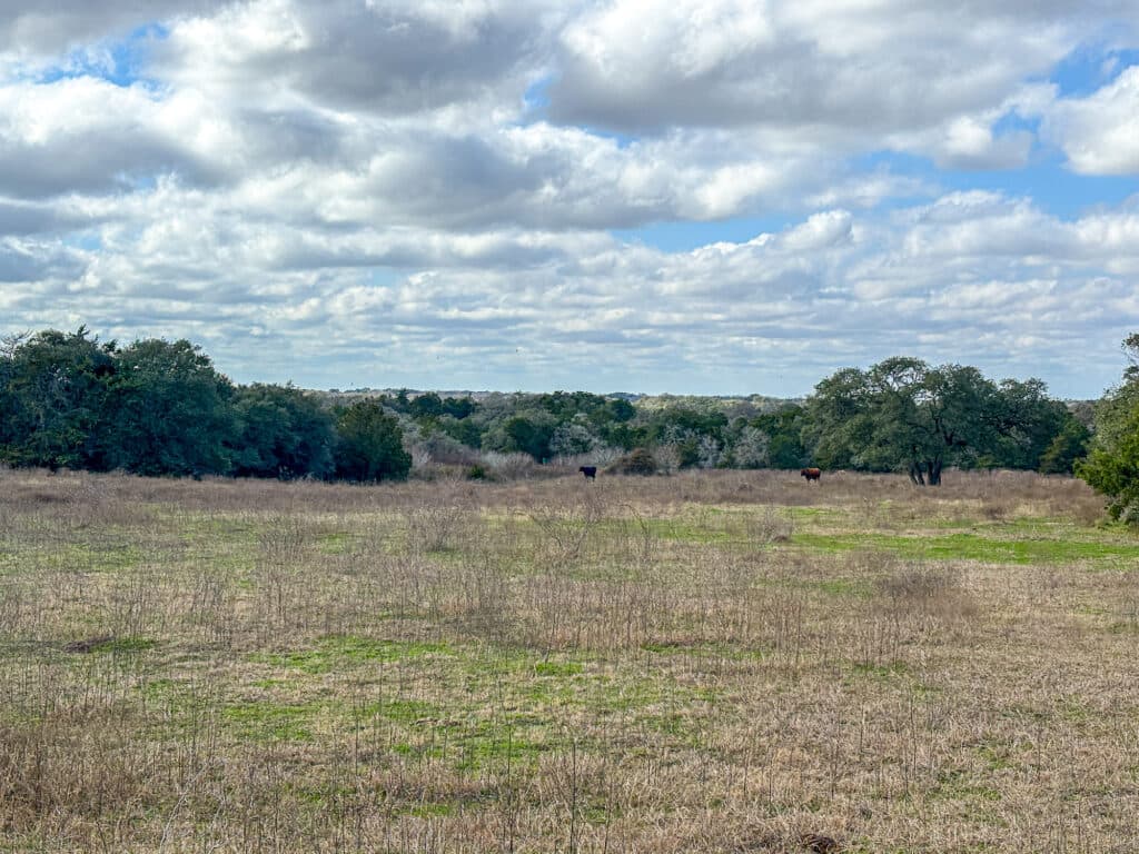 000 CR 387, Hallettsville, Texas — public listing photo 6