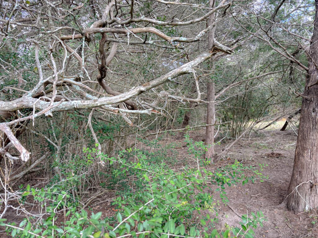 000 CR 387, Hallettsville, Texas — public listing photo 8