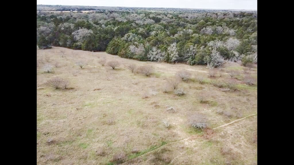 000 CR 387, Hallettsville, Texas — public listing photo 10