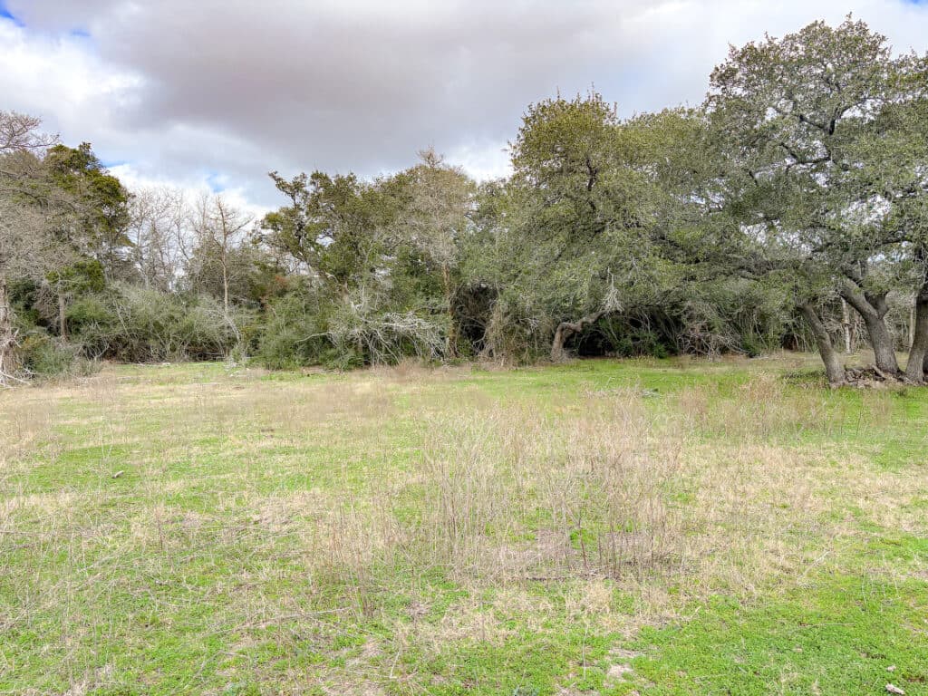 000 CR 387, Hallettsville, Texas — public listing photo 14