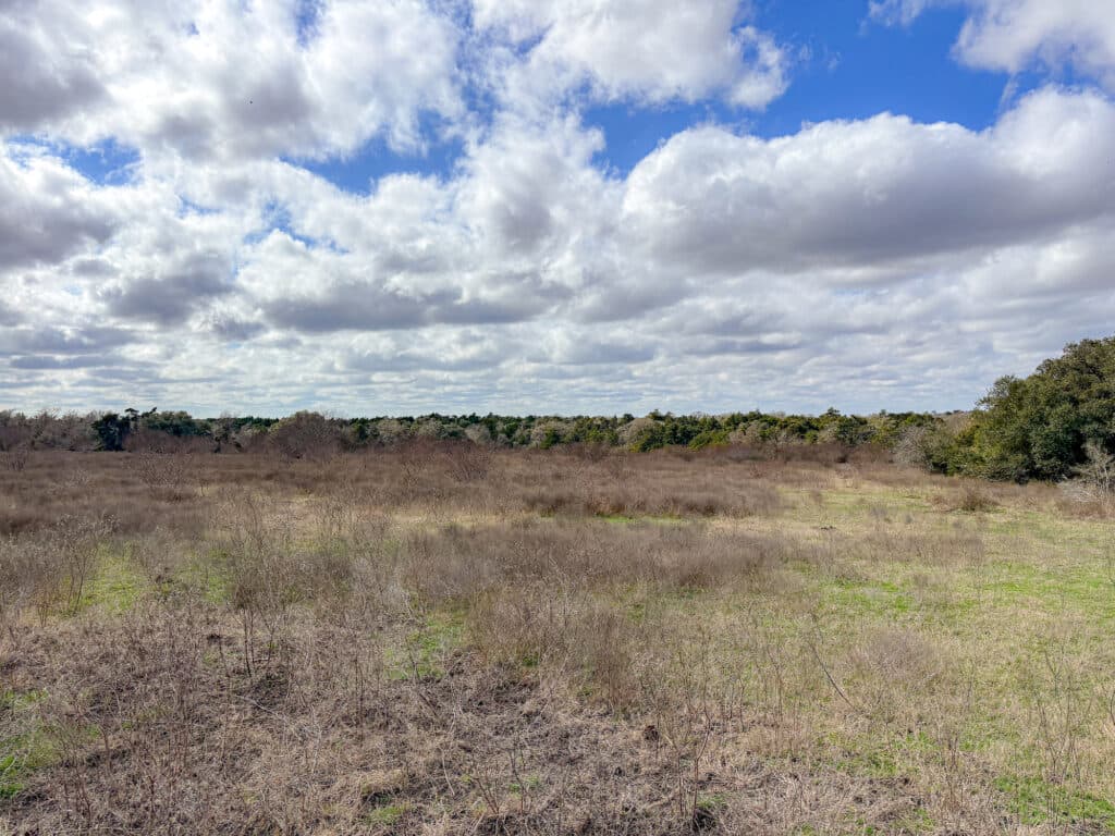 000 CR 387, Hallettsville, Texas — public listing photo 15