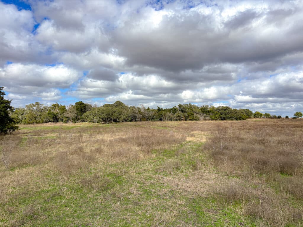 000 CR 387, Hallettsville, Texas — public listing photo 17