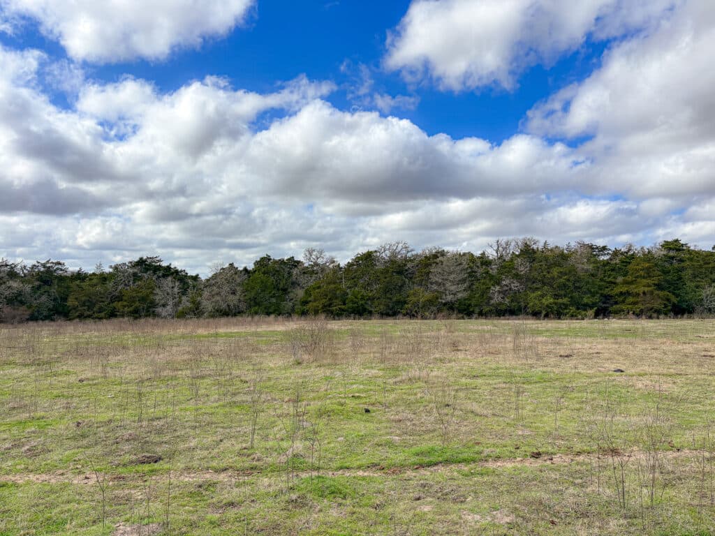 000 CR 387, Hallettsville, Texas — public listing photo 18