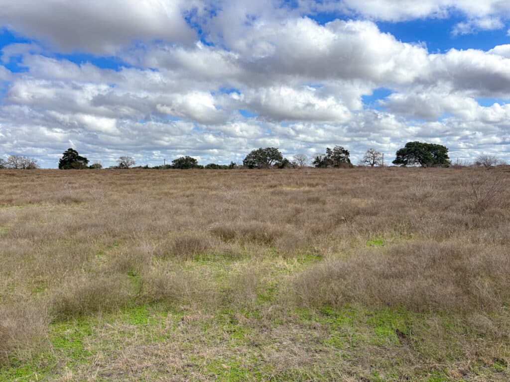 000 CR 387, Hallettsville, Texas — public listing photo 19