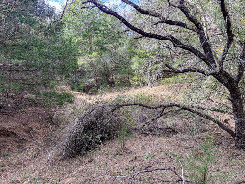 000 CR 387, Hallettsville, Texas — public listing photo 20