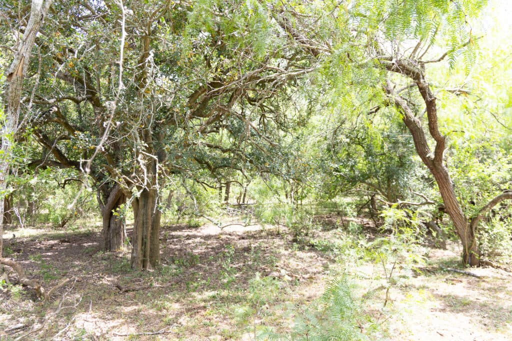 000 FM 2043, Goliad TX — public listing photo 3