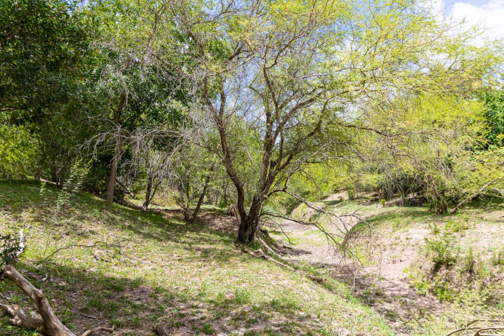 000 FM 2043, Goliad TX — public listing photo 5