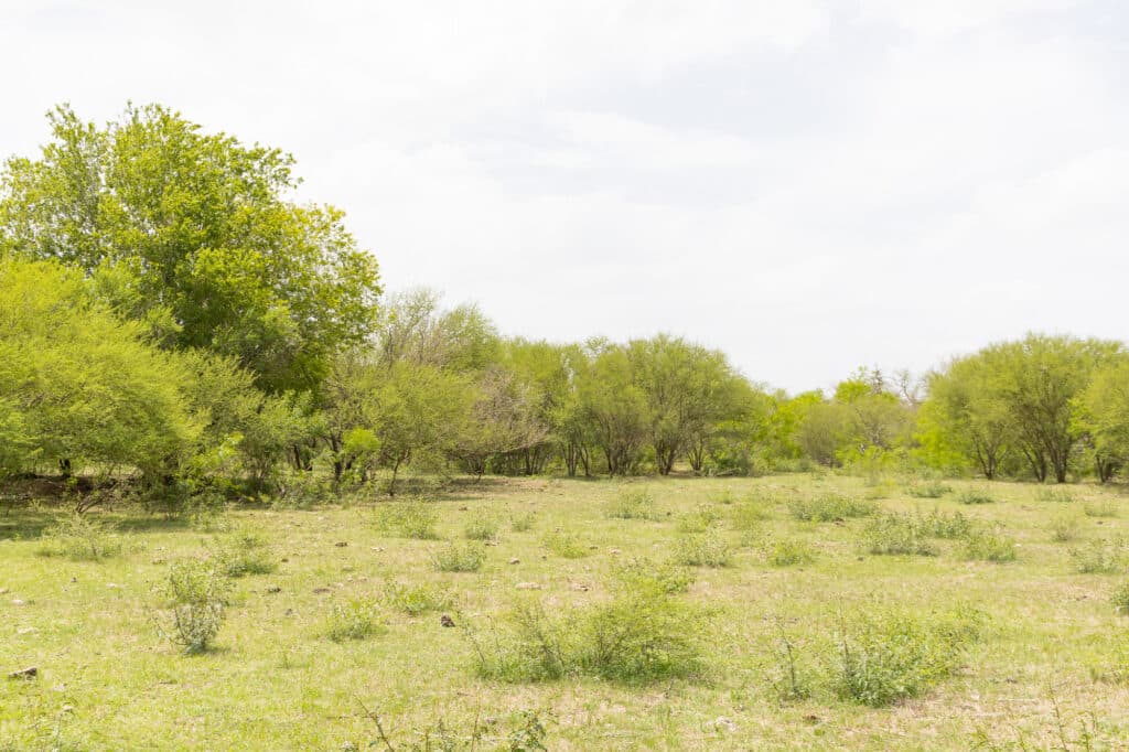 000 FM 2043, Goliad TX — public listing photo 10