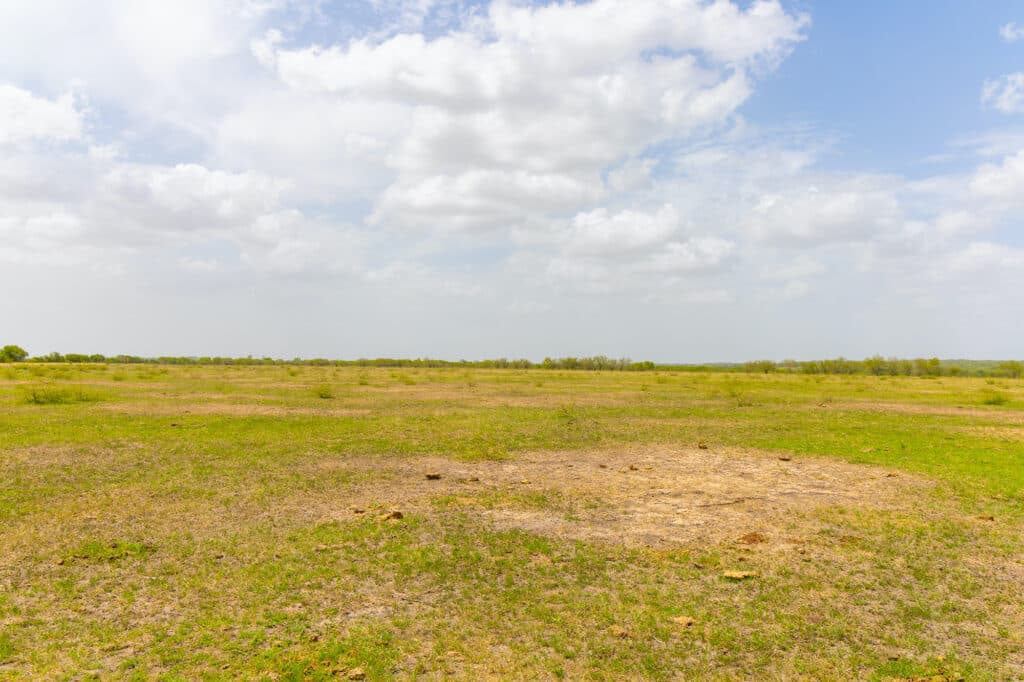 000 FM 2043, Goliad TX — public listing photo 16