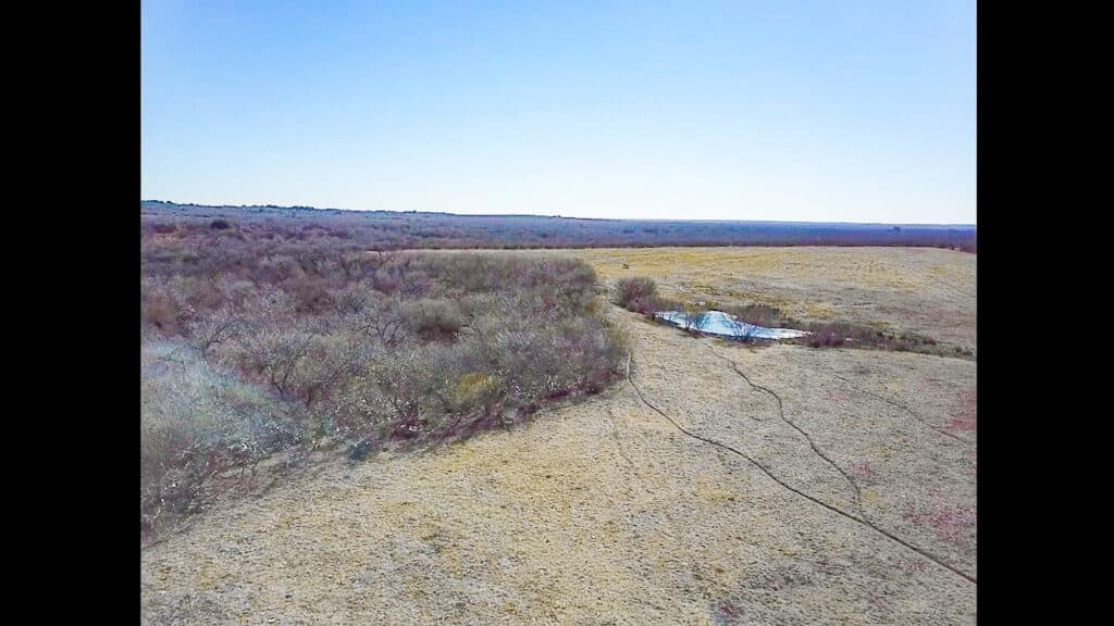 000 FM 2043, Goliad TX — public listing photo 21