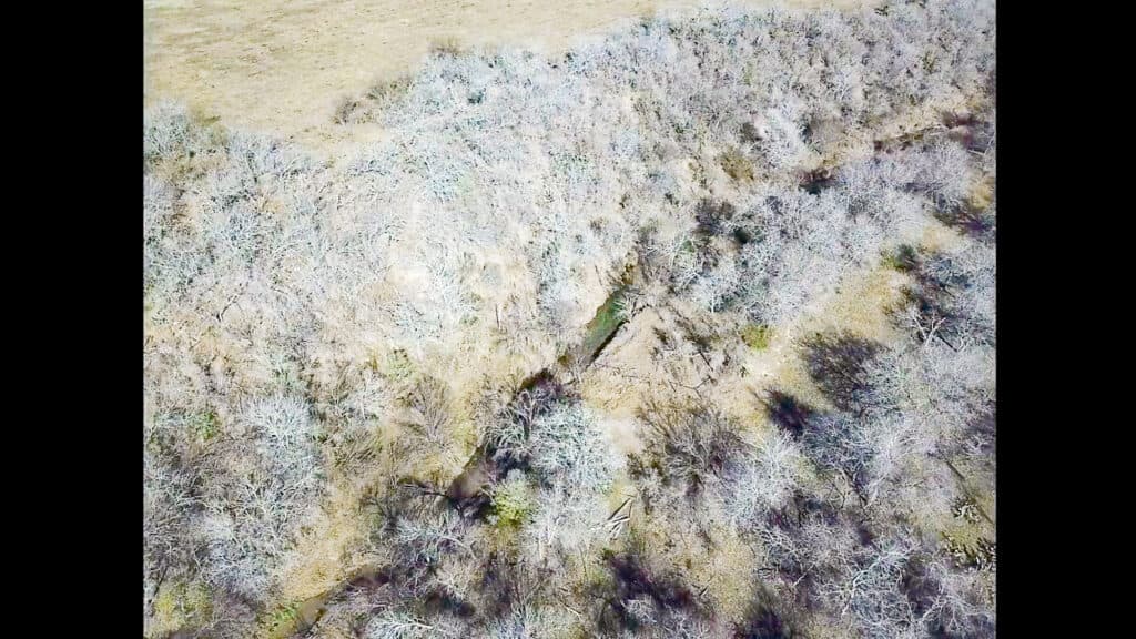 000 FM 2043, Goliad TX — public listing photo 22