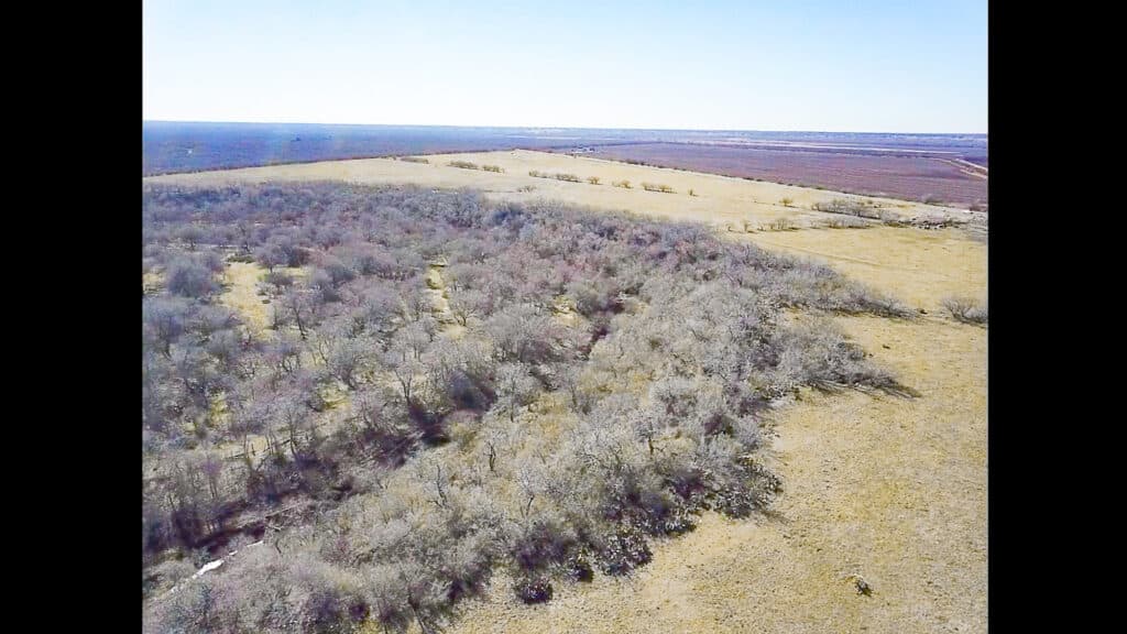 000 FM 2043, Goliad TX — public listing photo 23