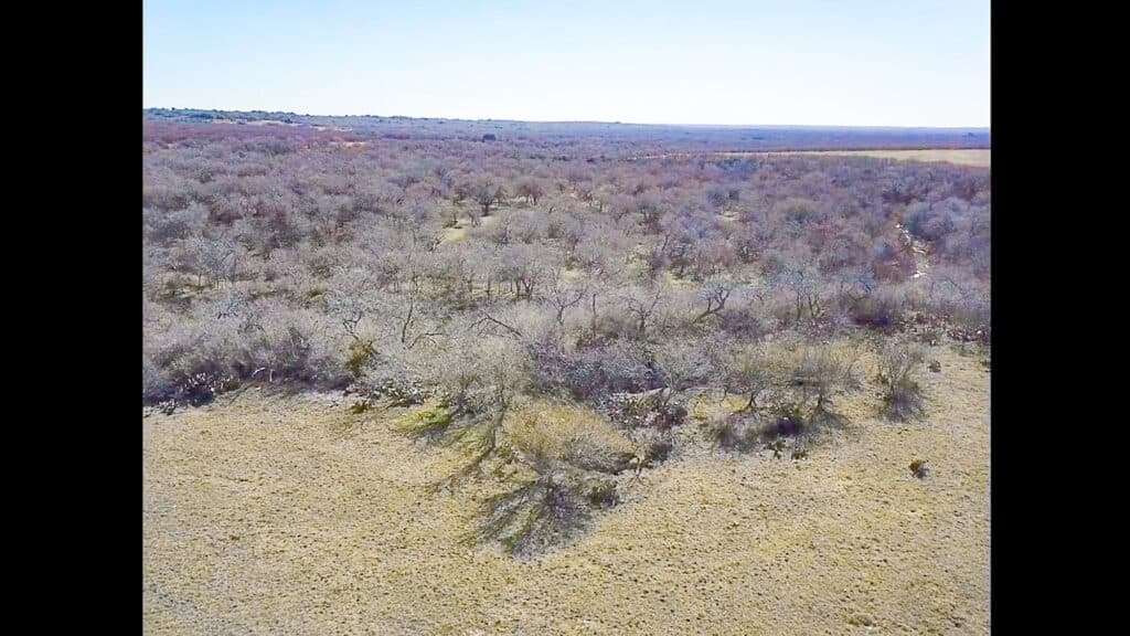 000 FM 2043, Goliad TX — public listing photo 24