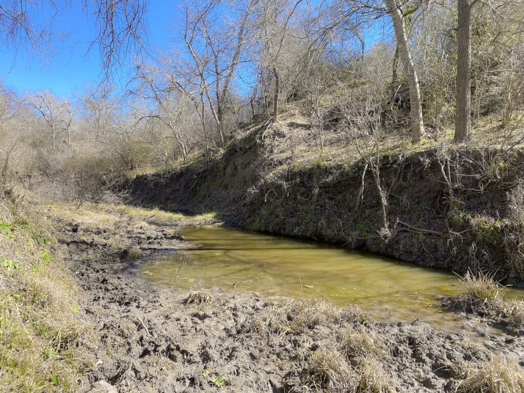 000 FM 2043, Goliad TX — public listing photo 31