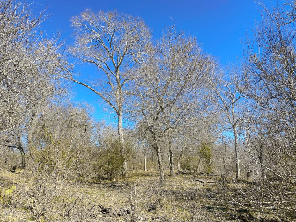 000 FM 2043, Goliad TX — public listing photo 34