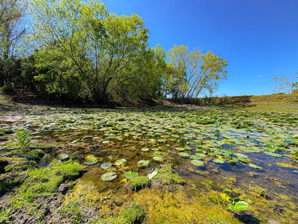 1037 CR 340, Shiner, TX 77984 — public listing photo 2