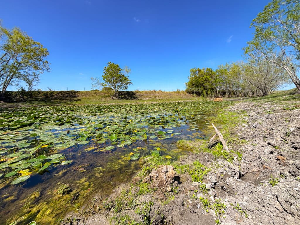 1037 CR 340, Shiner, TX 77984 — public listing photo 3
