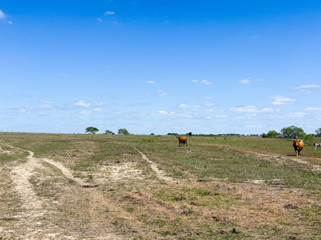 1037 CR 340, Shiner, TX 77984 — public listing photo 12
