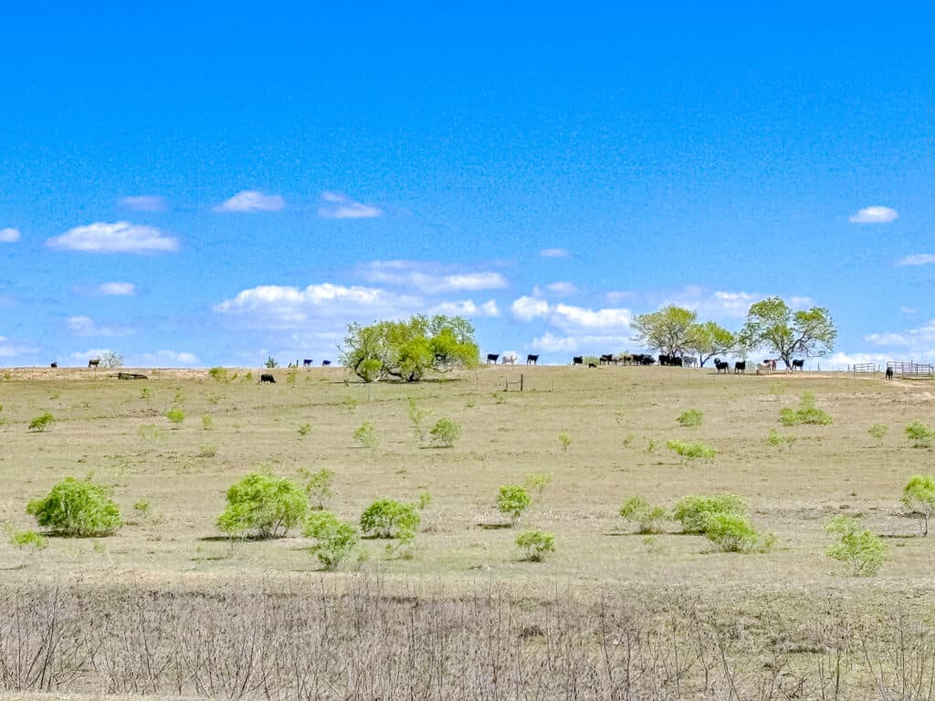1037 CR 340, Shiner, TX 77984 — public listing photo 21