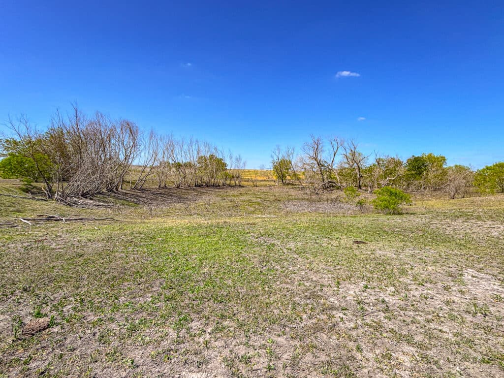 1037 CR 340, Shiner, TX 77984 — public listing photo 22