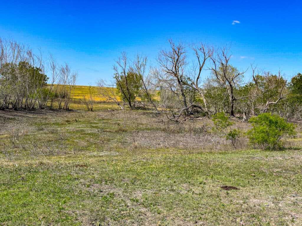 1037 CR 340, Shiner, TX 77984 — public listing photo 24