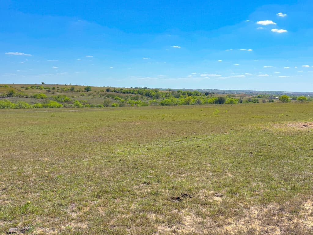 1037 CR 340, Shiner, TX 77984 — public listing photo 25