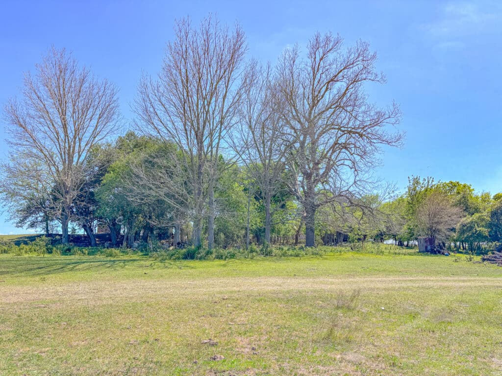 1037 CR 340, Shiner, TX 77984 — public listing photo 30