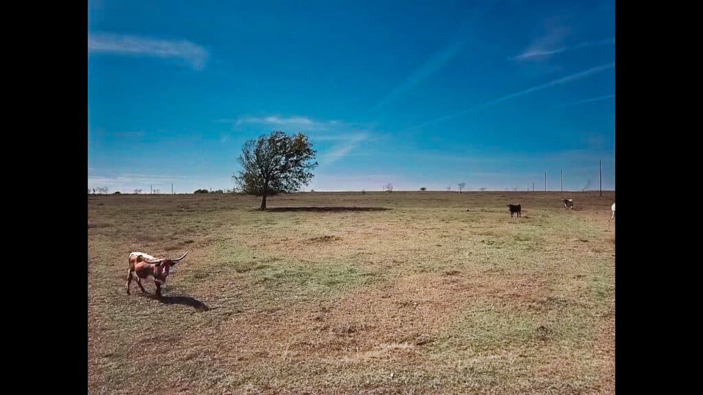 1052 CR 368, Shiner — public listing photo 5