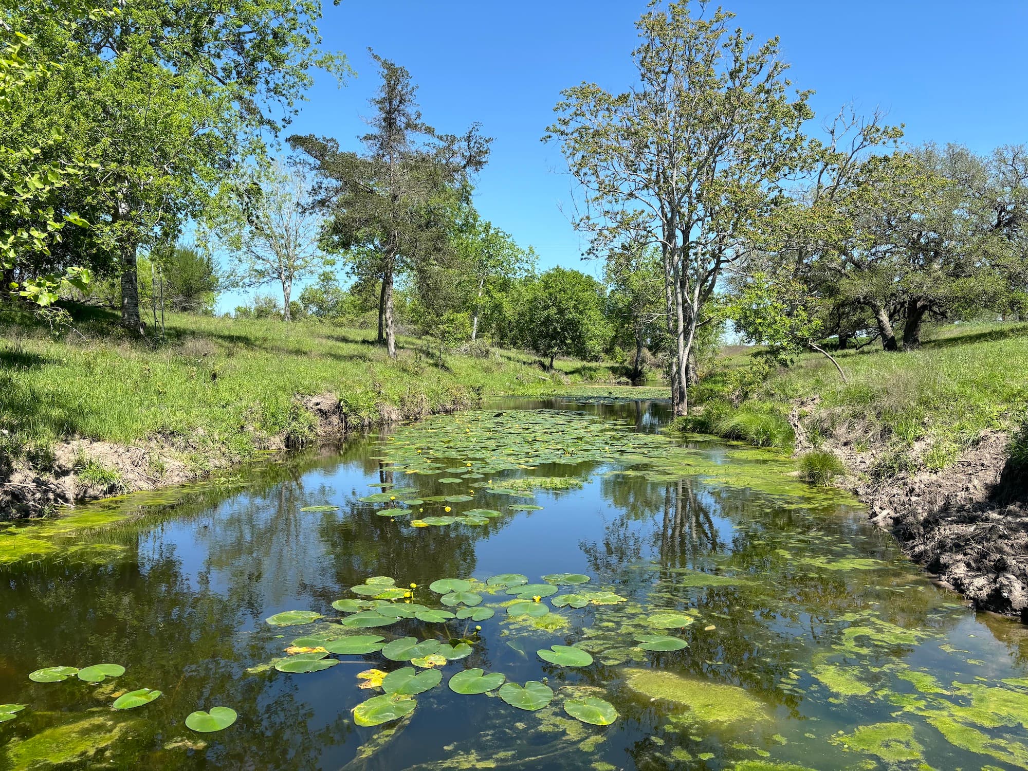 1102 FM 3435, Shiner — public listing photo 1