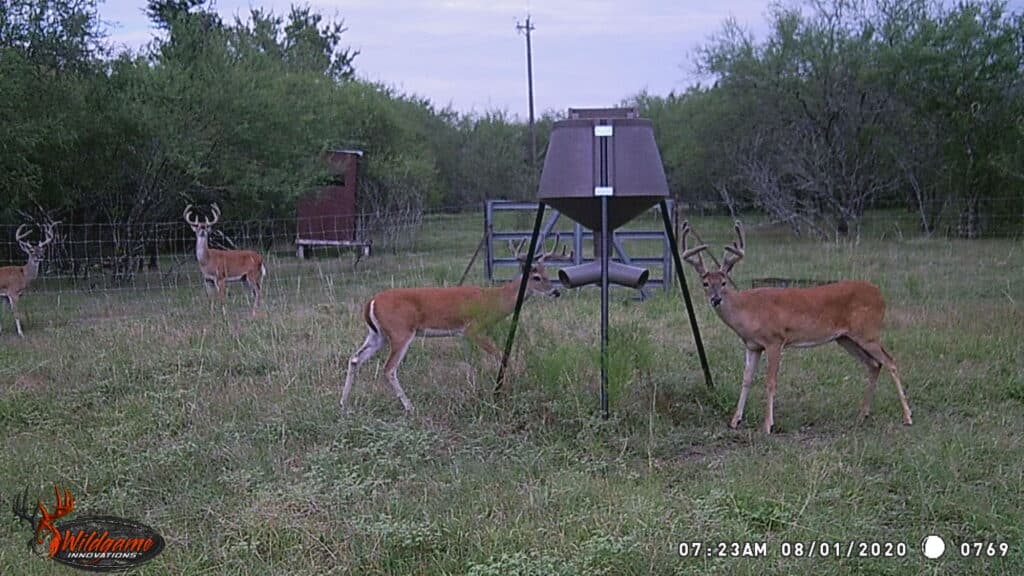 1102 FM 3435, Shiner — public listing photo 4