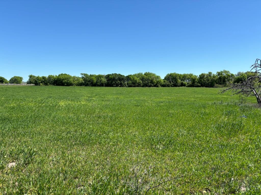 1102 FM 3435, Shiner — public listing photo 35