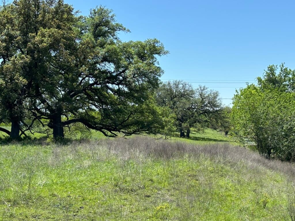 1102 FM 3435, Shiner — public listing photo 36